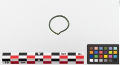 Foto von Bronzering (NHMW-PRAE-023777)